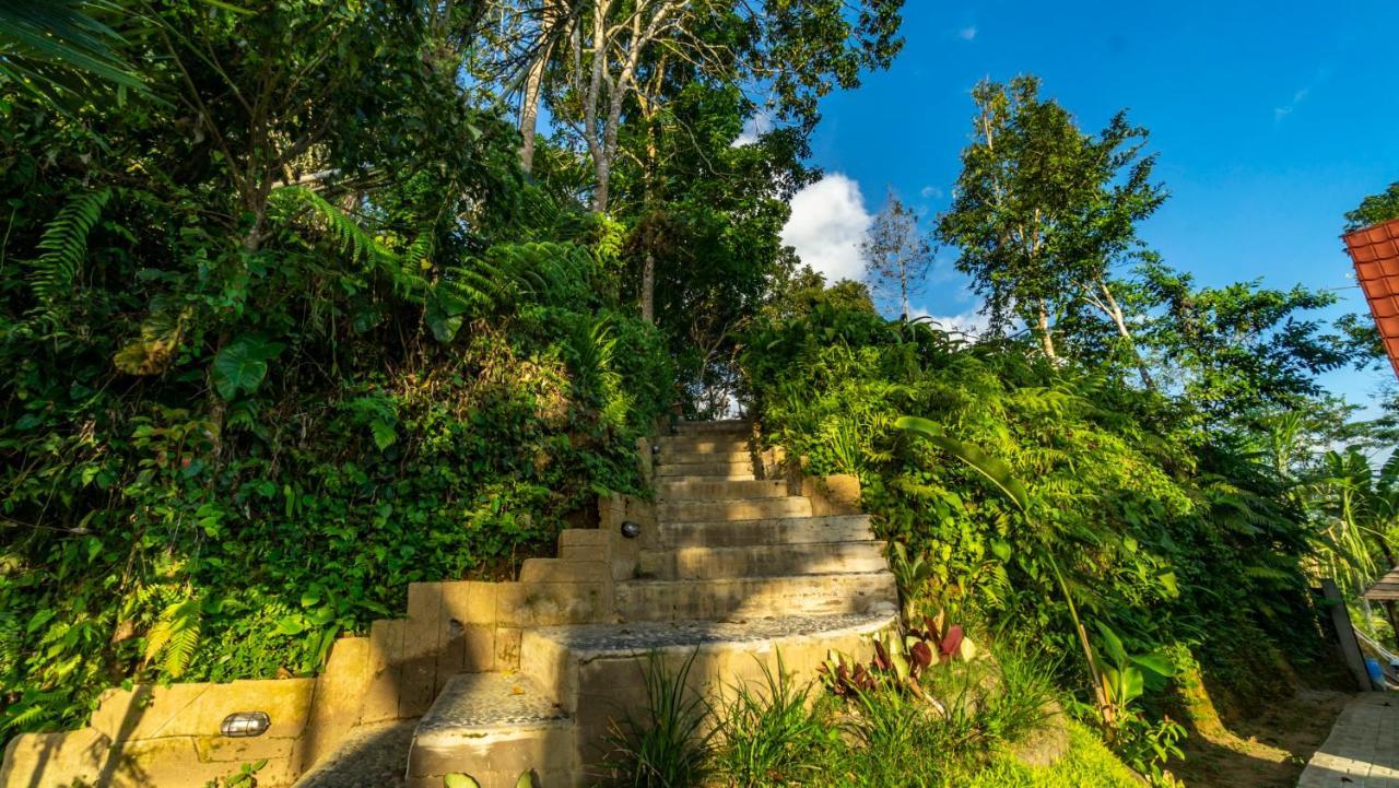 Anja Villas Ubud 뜨갈랄랑 외부 사진